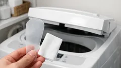 捨てる前のクリアファイルが掃除道具に変身、洗濯機の隙間汚れをスッと落とす方法