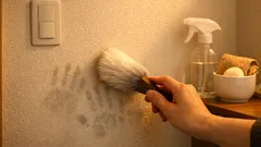 壁の手あか汚れをこすらず落とす方法、100均アイテムとアルカリ電解水で簡単掃除