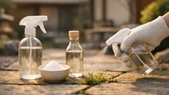 クエン酸スプレーで雑草対策する方法と濃度5%の作り方