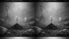 「木を植える最良の時は20年前、次に良いのは今」が刺さる理由と先延ばしを終わらせる一歩